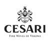 Cesari Logo