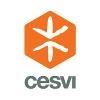 CESVI Logo