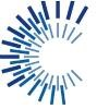 CFO Solutions Logo