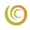 Chameleon International Logo