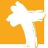 CHAN Healthcare Auditors Logo
