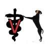 Chastain Veterinary Medical Group Logo