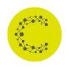 Cheetah Digital Logo