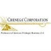 Chenega Professional Services Logo