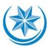 Cherokee Nation Businesses Logo