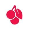 Cherry Corporation Logo