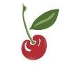 Cherry Park Plaza Logo