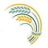 Cheshire East Council Logo