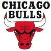 Chicago Bulls Logo
