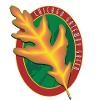 Chicago Gateway Green Logo