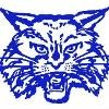 Childress Independent School District Logo