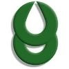 Chinook Consulting Services Logo