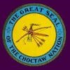 Choctaw Nation Health Services Authority Logo