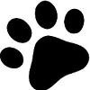 Choice Pet Market Logo