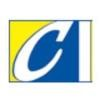 CHOICES Network of Arizona Logo