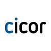 Cicor Group Logo