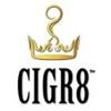 CIGR8 Logo