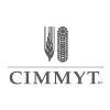 CIMMYT Logo
