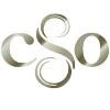 Cincinnati Symphony Orchestra Logo
