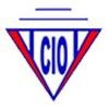 CIO Security Logo