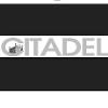 Citadel Security Agency (New York) Logo