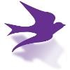 City of Lewisville Logo