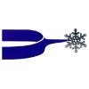 City of Steamboat Springs Logo
