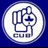 City Union Bank Logo