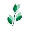 Clare Bridge Logo