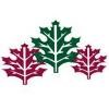 Clarence Davids & Company Logo