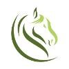 Clavius Solutions Logo
