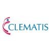 Clematis Technology Solutions Logo