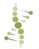 Clinical Research Management Logo