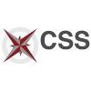 Clinical Support Services Logo