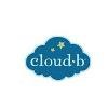 Cloud B Logo