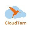 CloudTern Logo