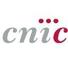 CNIC (Spain) Logo