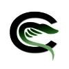 Cobra Security Logo