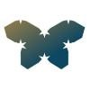 Cocoon Networks Logo