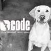 Code Talent Logo