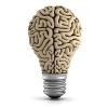 Coding Brains Logo
