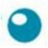 cognitas Logo