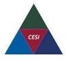 Cole Engineering Services Logo