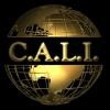 Collection At Law Logo