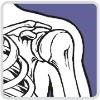 Columbia Orthopaedic Group Logo