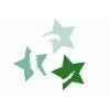 Columbia State Community College Logo