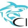 Combined Investigators Logo