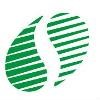 Comfyi Solution Logo