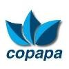 Companhia Paduana de Papeis (COPAPA) Logo