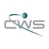 Computer World Services Logo